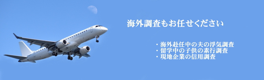 海外調査