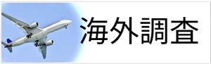 海外調査